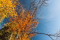 2015_10_26 (0041)